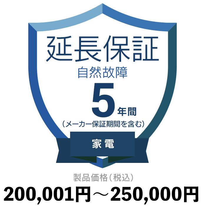 家電自然故障保証【5年に延長】200,001円〜250,000円延長保証