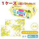 【特価】こころ想い からだふき大判厚手タイプ(30×20cm) 1ケース(40枚入x2個×12パック入) 丈夫で大きなシートでしっか拭ける 介護に・災害備蓄用に 日本製 ノンアルコール 保湿成分アロエエキス配合