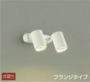 DAIKO LEDスポットライト(LED内蔵) 直付けタイプ 12Vダイクロハロゲン50W×2灯相当 DSL4782YW