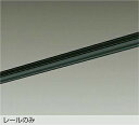 DAIKO 直付専用アース付ダクトレール1m 黒 DP00211EK