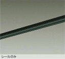 DAIKO 直付専用アース付ダクトレール2m 黒 DP00212EK