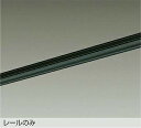DAIKO 直付専用アース付ダクトレール1.5m 黒 DP02115EK