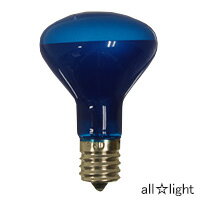 ҡץȥǮƩ顼ߥ˥ե׷R4522WE17⡡֥롼ĿˡKR R45 E17 100/110V-22...