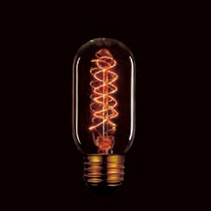 Other - 舶用電球　ヴィンテージランプ　白熱電球　エジソンバルブ（エジソン電球）　クリア　管形　全長105mm（T45）　40W　E26口金　110V40WT45F5E26