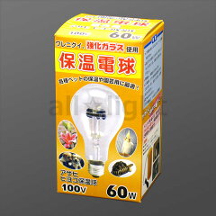 https://thumbnail.image.rakuten.co.jp/@0_mall/alllight/cabinet/dennkyu/hiyoko60w.jpg