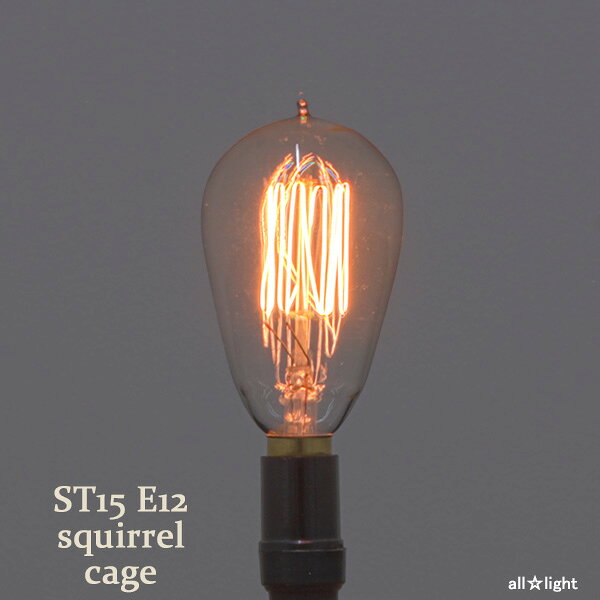 ★　ミニエジソンバルブ（エジソン電球）　ナス球形　ST15　E12　110V　25W　Squirrel cage　ST15 E12 110V 25W SC alllight-10055627 オールライト サンプル画像2