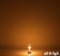 �����ҡ�����ƥ��������ס�S60��E26 25W������ƥ��������� S60 E26 110V-25W