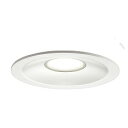 東芝 LED照明器具 LED浴室灯/軒下用 LEDダウンライト 高気密SB形 白熱灯器具100Wクラス LED一体形 埋込穴φ125mm 昼白色 一般住宅用 防湿・防雨形 LEDD87044NWLS