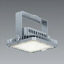 ENDO LED耐塩軽量フラッドライト 昼白色 5000K 水銀ランプ700W器具相当 超広角 ERS6375SA (ランプ付)