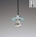 ENDO LEDペンダント JDR110V50W相当 シルバー 直付タイプ ERP7144S+S98C (ランプ別売)