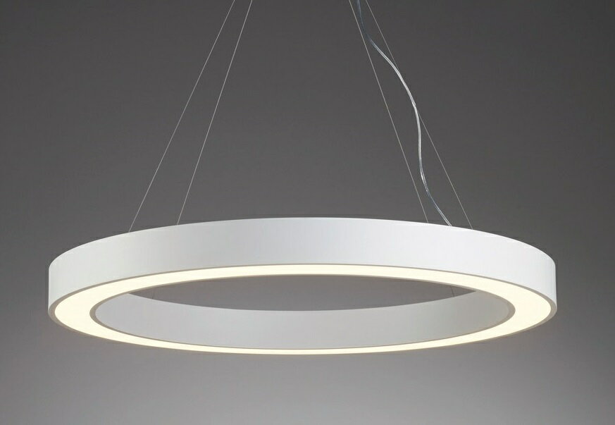 ENDO LEDペンダント 直付タイプ 3000K 電球色 ERP7392WA (ランプ付)