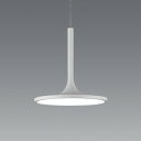 ENDO LEDペンダント 直付タイプ 3000K 電球色 ERP7463WA (ランプ付)
