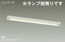 訳あり商品 DAIKO 箱型(トラフ) 電圧フリー 蛍光灯シーリングライト ベースライト (ランプ別売り) DBF3719LW
