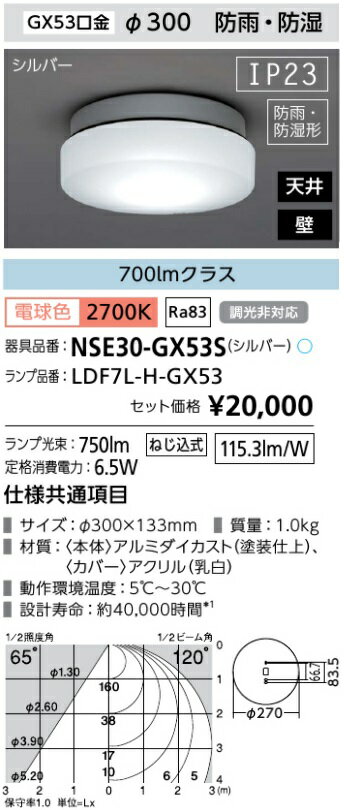 アイリスオーヤマ　エクステリア　LED小型シーリングライト　本体色：シルバー　防雨・防湿形　Φ300mm　天井・壁共用　光色：電球色（2700K）　一般電球60W形相当　NSE30GX53S　≪特別限定商品！≫