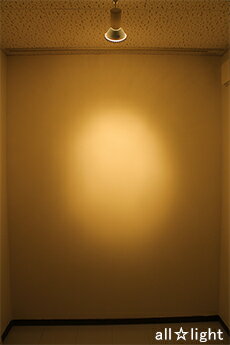 ���Υ饤�ƥå����ϥ������ŵ�(�ӡ����ŵ��)���ե�åɡ���ѡˡ�60W�������ѡ�PAR38��E26���⡡��ñ�ʡۡ�JDR110V60WK12MTC