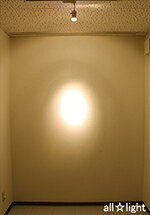 USHIO スーパーライン JRΦ50 EZ10口金(ネジタイプ) 85W形 狭角 【単品】 JR12V60WLNKEZH