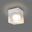 ホタルクス LEDバスルームライト 天付・壁付兼用 電源端子台付 防雨・防湿型 2700K 電球色 小形電球40W×1灯相当 XMLE17111XL