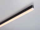 DNライティング TRIM LINE LED照明器具 間接照明 TRE2-D‐APL 調光兼用型 ドーム型カバー 本体色:黒(ブラック) 全長1100mm 電球色(2800K) 高演色型 TRE21100H28DBKAPL ※受注生産品(3)