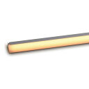 ルーチ LEDライン照明 間接照明 ルーチ・シルクス ワイドK DC24V 74mm 電球色 2400K 屋内用 (電源トランス・コード別売) LSXWK007...