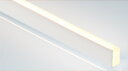 TES LIGHTING フレキシブル照明 屋外屋内兼用Qoonela T(屋外屋内兼用クーネラティー) TQTDシリーズ コネクタタイプ 全長5002mm 5700K 昼白色 両側コネクタタイプ 左側入力 TQTD500257DLC ※受注生産品(3)