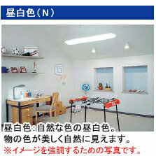☆東芝 メロウホワイト 直管スタータ形蛍光ランプ(蛍光灯) 20形 昼白色 ワットブライター FL20SSN18