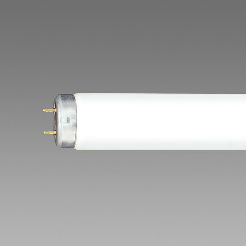 fl20skd25.jpg