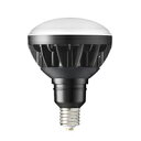 岩崎 LEDioc(レディオック) LED電球 LEDアイランプ 白熱電球300W形(270W)相当 昼白色 4200lm E39口金 本体:黒色(ブラック) ...