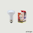 オーム電機 LED電球 レフランプ形 屋内専用 電球色 6．2W 一般電球60形相当（60W形） 全光束682lm 配光角度約150° R62 E26口金 LDR6LWA9