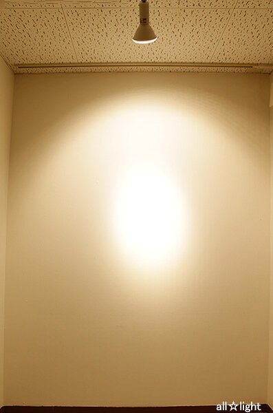 ELPA エルパボール LED電球 ビームランプタイプ 14W 電球色相当 E26口金 1250lm 屋内・屋外兼用 外径122mm 【10個入り】 LDR14LMG057 [2]