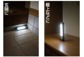 ELPA����Ƥʤ��Τ����ꡡ��Ƥʤ��饤�ȡ���LED���ŵ忧LED�����󥵡��饤�ȡ������Ӽ��������ѡ����������ס�HLH2203