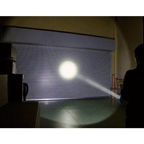 GENTOS　The LEDシリーズ　LED強力ライト　高輝度チップタイプ白色LED　防塵・防滴仕様（IP54準拠）　450lm　ショルダーストラップ付き　単1形アルカリ電池4個用（別売）　LK214D