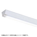 東芝 LEDベースライト TENQOO 器具本体 防湿・防雨形 直付形 40タイプ W120 (LEDバー別売り) LEET41204W