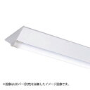東芝 LEDベースライト TENQOO 器具本体 防湿・防雨形 直付形 40タイプ W230 (LEDバー別売り) LEET42304W