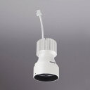 訳あり商品 ODELIC LED高効率交換用光源ユニット オフホワイト PLUGGEDシリーズ専用 C1950 C1650 電球色 3000K XD422005 (器具別売)