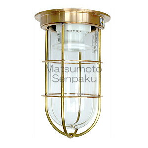 �����������ǥå��饤�ȥ��꡼����R1��ǥå���������ɡʶ⿧�ˡ�LED�����ա���Ǯ�ŵ�40W����������������ѡ�E26���⡡R1DKG