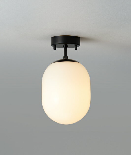 Other - MAXRAY　Orb(al)/オーバル　Φ150　シーリングライト　直付け　壁面取付け可　ブラック(黒)　E17口金　ランプ別売　ML3017302(OP0171002+OP01737)