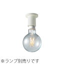 MAXRAY シーリングライト ホワイト E26口金用(ランプ別売) 100Wまで ML321101