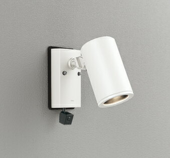 ODELIC　エクステリアライト（ガーデンライト）　スポットライト　防雨型　LEDランプ別売　人検知カメ..