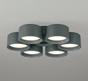 ODELIC シーリングファン用灯具 LEDランプ付 光色切替 調光 〜10畳 高演色 電球色・昼白色 シーリングファン本体別売 チャコールグレー WF289P...