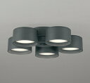 ODELIC シーリングファン用灯具 LEDランプ付 光色切替 調光 〜8畳 高演色 電球色・昼白色 シーリングファン本体別売 チャコールグレー WF290PR