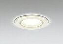 ODELIC バスルームライト(浴室灯) 浅型 埋込穴φ125mm 電球色・昼白色 R15高演色LED 光色切替調光(調光器別売) LEDランプ付き OD261030PR