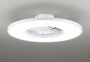 ODELIC シーリングファン 簡易取付A 電球色~昼光色 ~8畳 BTFLAT FAN BT調光・調色 R15高演色LED LED一体型 OL291438BR