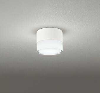 ODELIC　エクステリアライト（ポーチライト）　LEDランプ付　白熱灯器具40W相当　ねじ込式　昼白色　5000K　高演色LED　防雨型　オフホワイト　OG264060NR