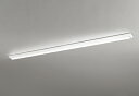ODELIC LEDベースライト 直付 逆富士型 昼光色 Hf86W×2灯相当 LEDユニット付き XL501003P4A