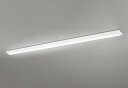 ODELIC LEDベースライト 直付 逆富士型 昼光色 Hf86W×2灯相当 LEDユニット付き XL501006P4A
