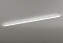 ODELIC LEDベースライト 直付 トラフ型 白色 Hf86W×2灯相当 LEDユニット付き XL501009P4C