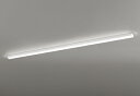 ODELIC LEDベースライト 直付 トラフ型 温白色 Hf86W×2灯相当 LEDユニット付き XL501009P4D