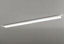 ODELIC LEDベースライト 直付 反射笠付型 昼光色 Hf86W×2灯相当 LEDユニット付き XL501018P4A