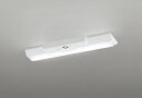 ODELIC LED非常用照明器具 階段通路誘導灯兼用型 直付 逆富士型 昼光色 FL20W相当 高演色 LEDユニット付き XR506001R1A