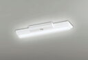ODELIC LED非常用照明器具 階段通路誘導灯兼用型 直付 逆富士型 白色 FL20W×2灯相当 高演色 LEDユニット付き XR506001R3C